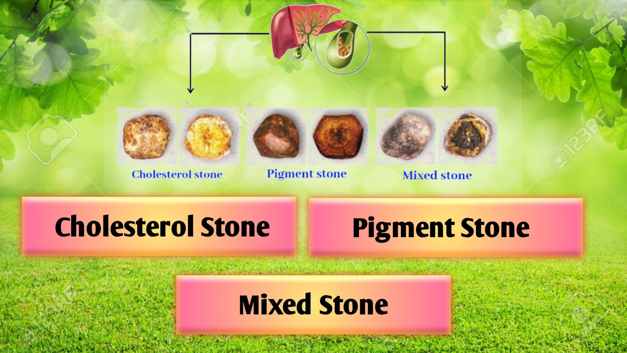 Clinic Side Right Diagnosis Lead To Treat Disease Easily