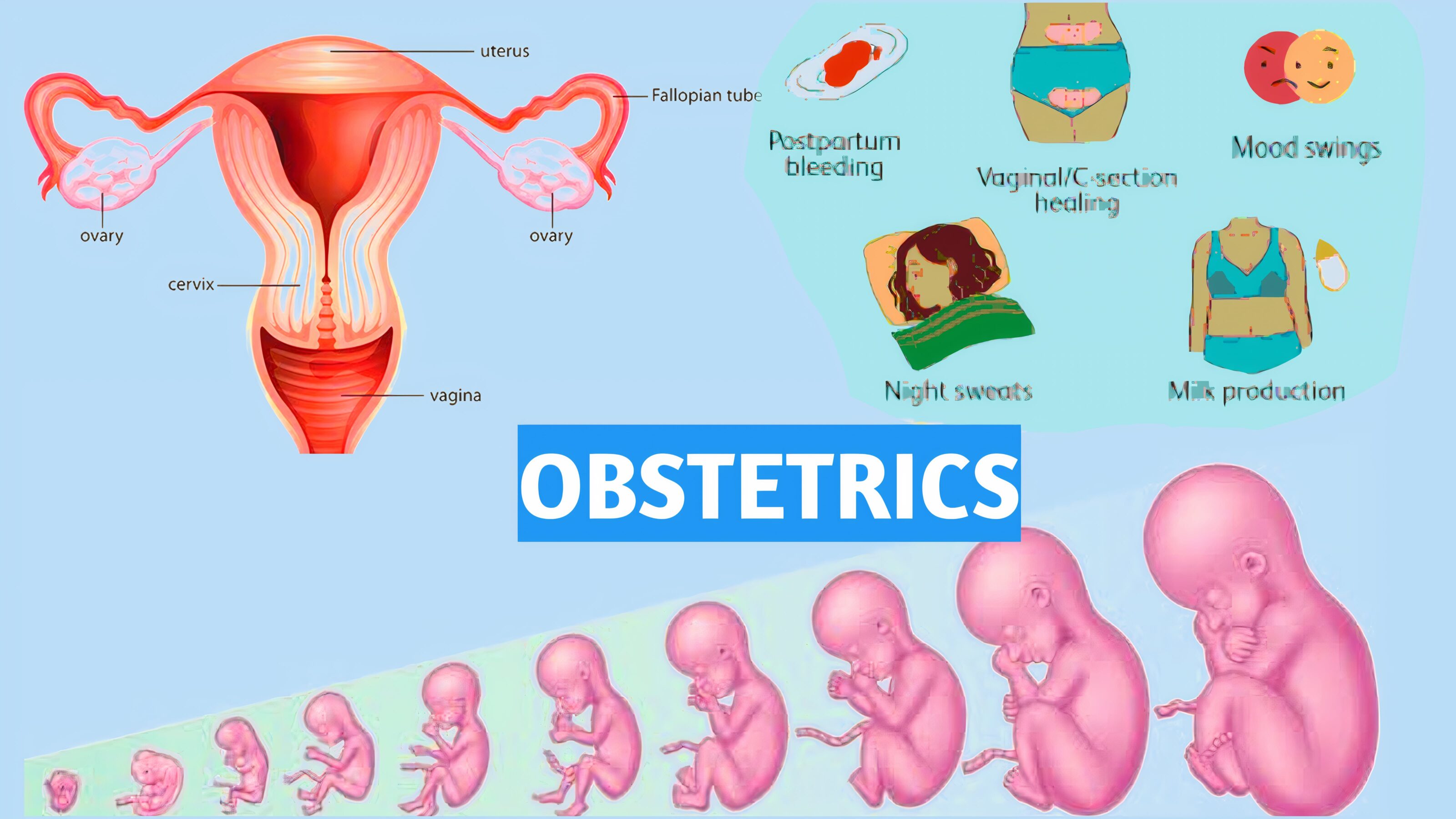 history taking in obstetrics