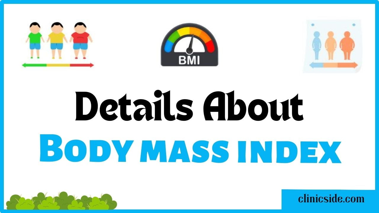 Understanding Body Mass Index (BMI) What It Is and How It Works