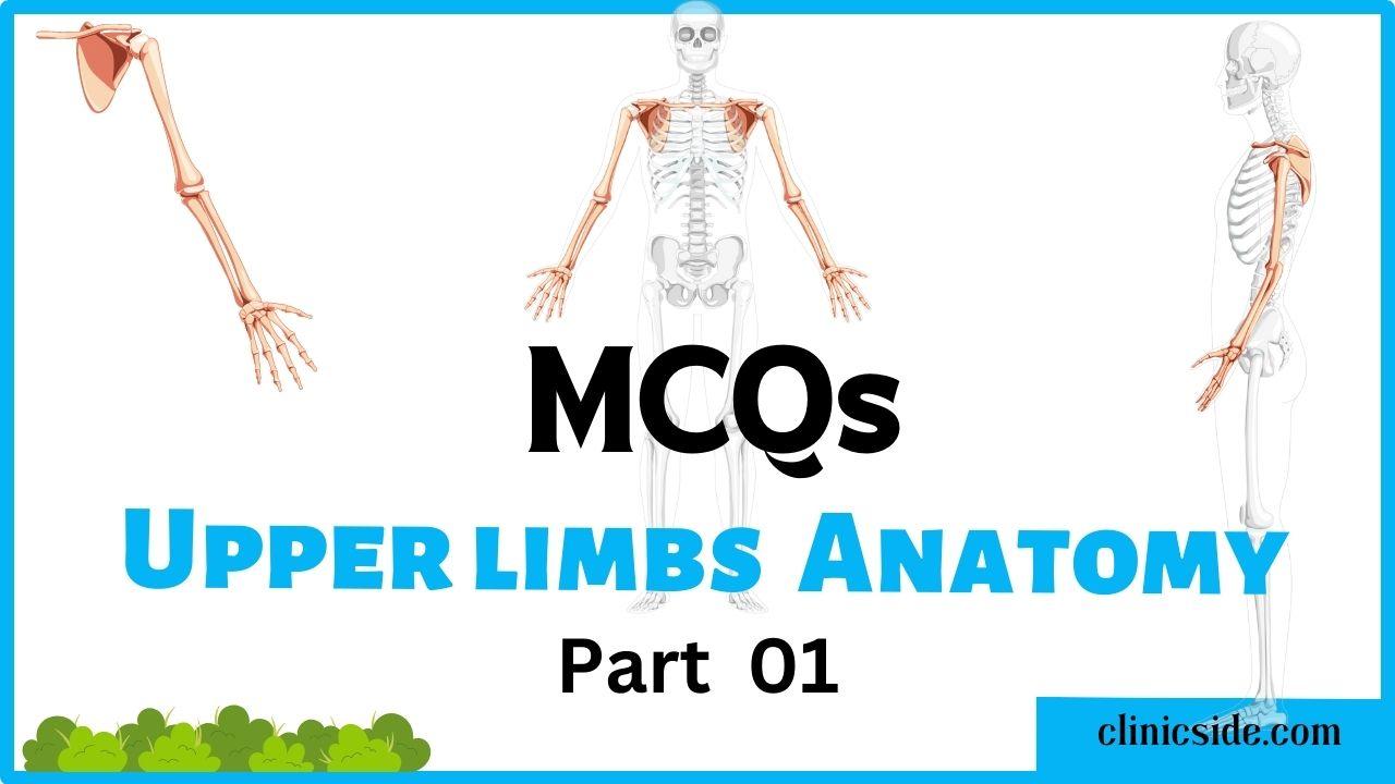 MCQs on Upper Limbs Anatomy