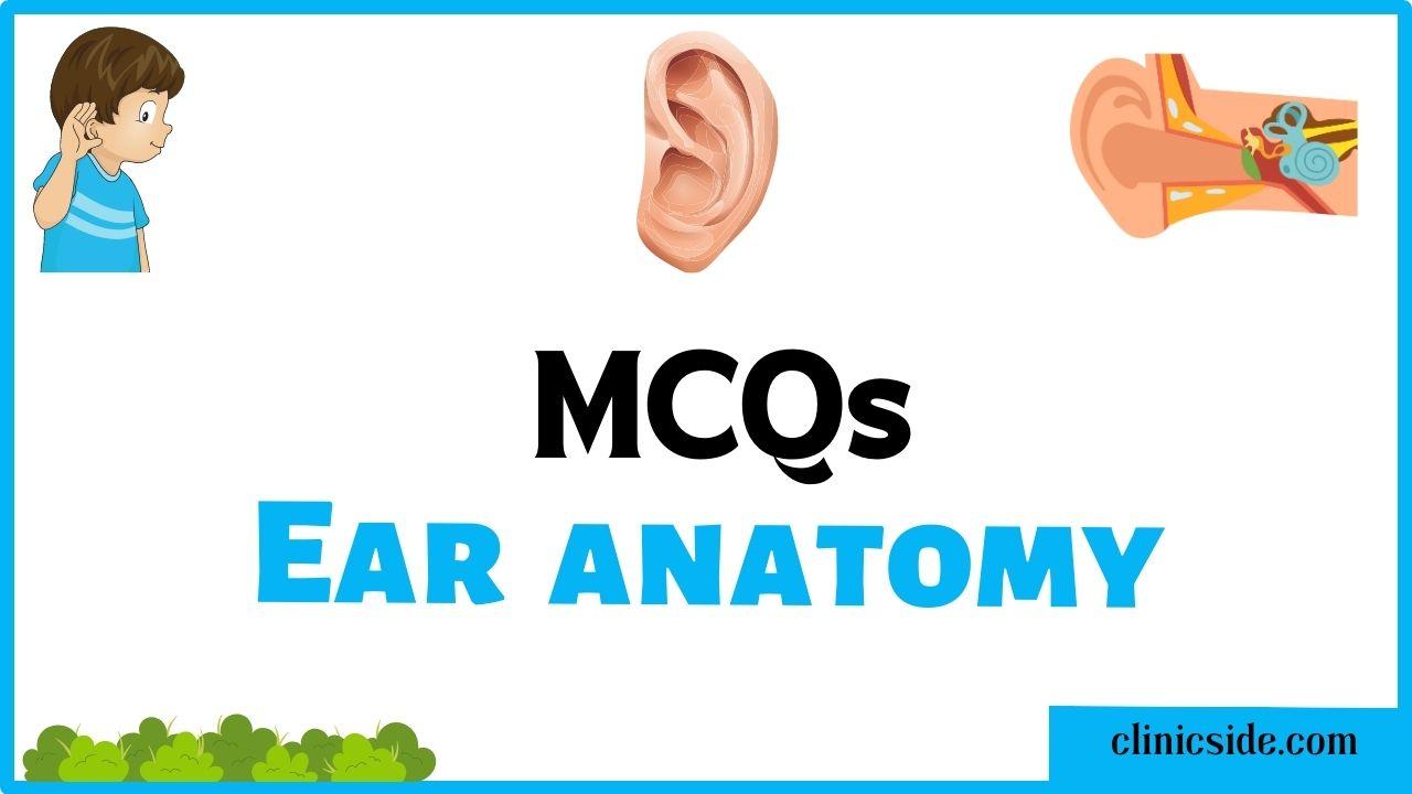 mcqs on anatomy of human ear