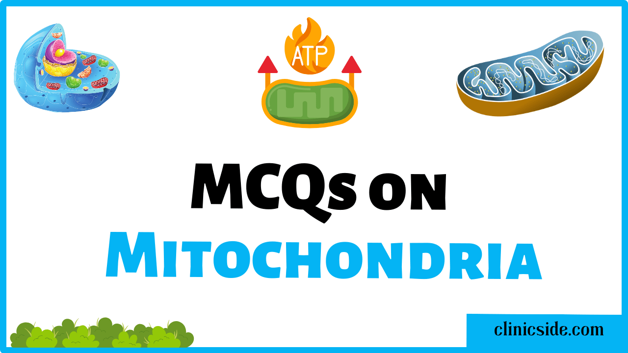 Multiple Choice Questions On Mitochondria