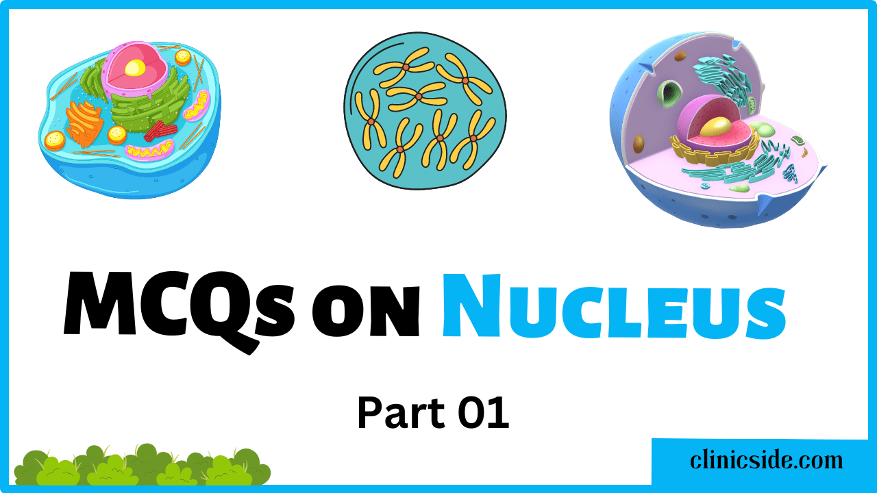 multiple choice question on Nucleus