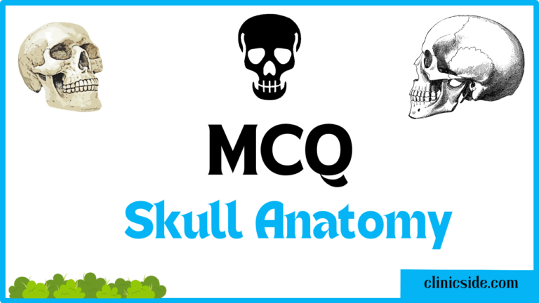 Human Skull Anatomy Quiz By Clinic Side