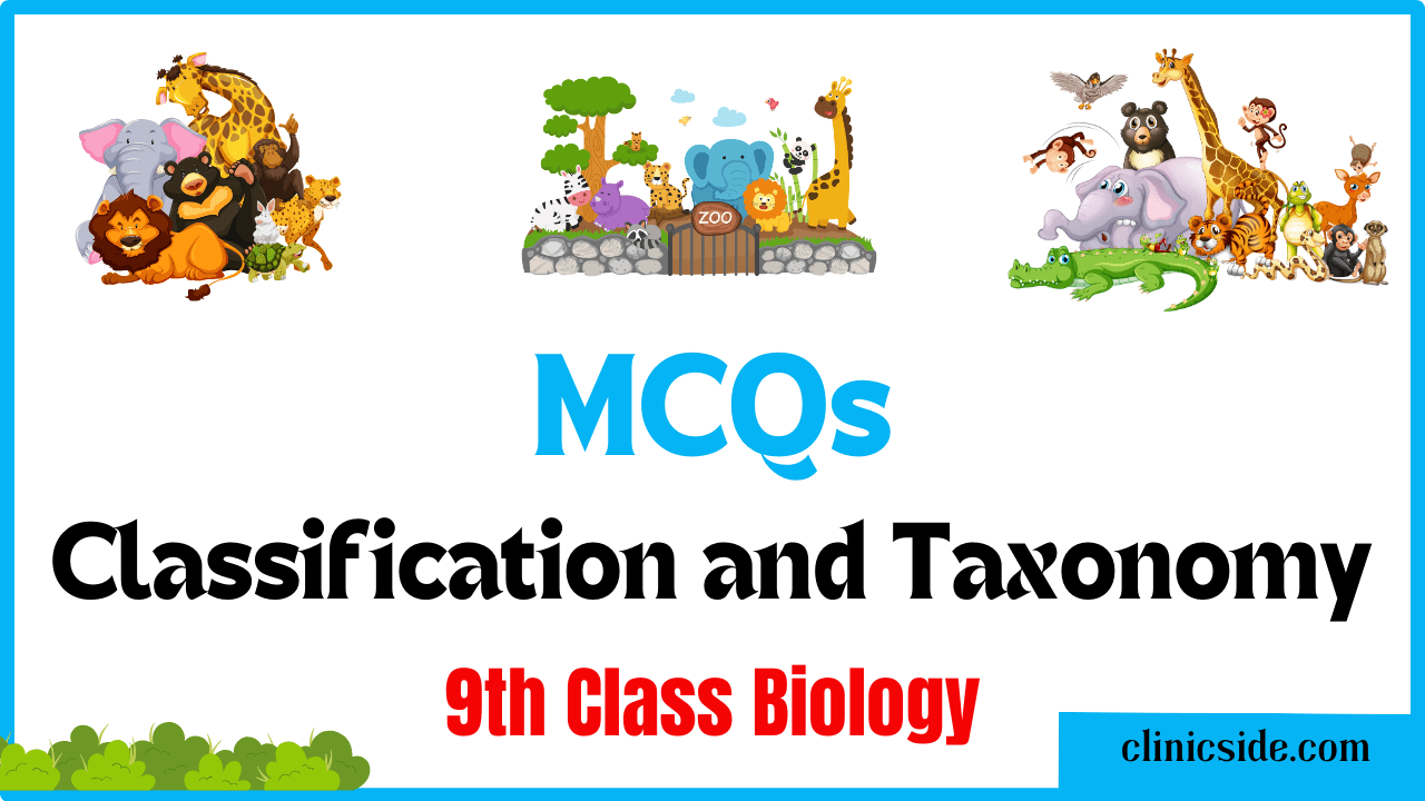 MCQ on Classification and Taxonomy 9th Class Biology