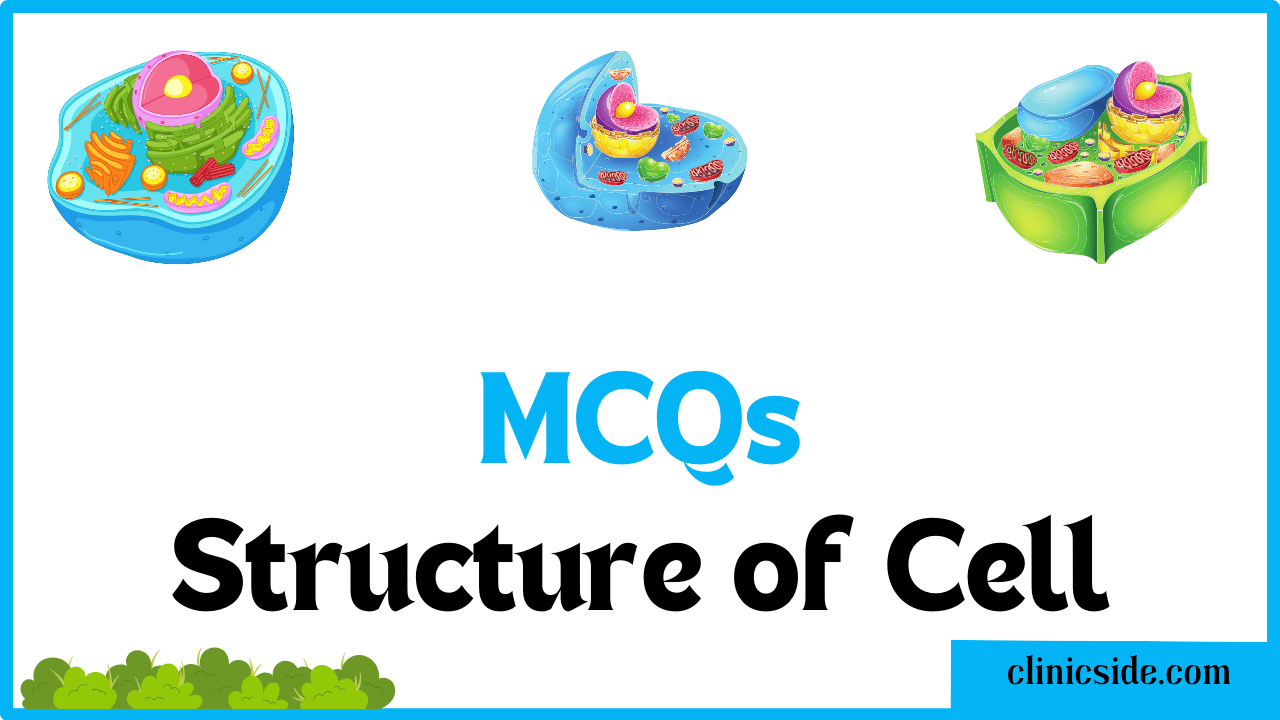 MCQ on Structure of Cell