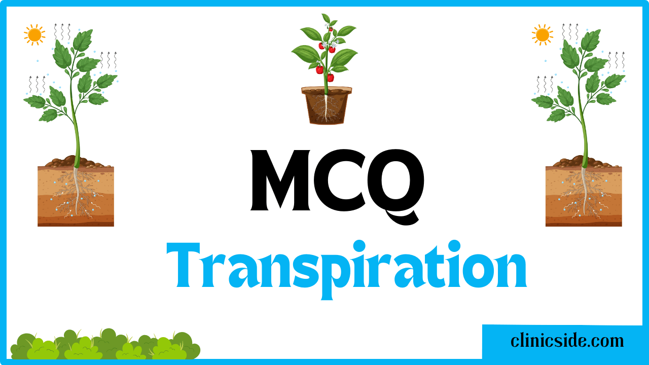 MCQs On Transpiration In Plants by clinic side