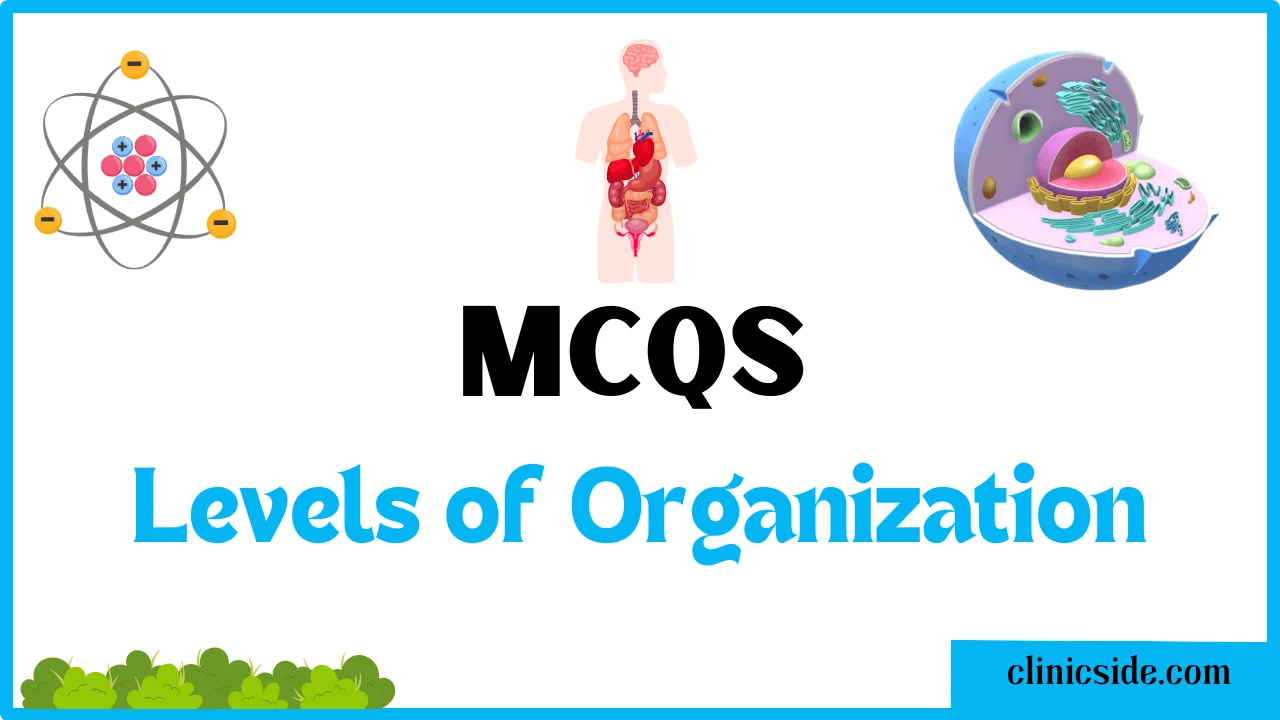 mcqs on Levels of Organization by clinic side