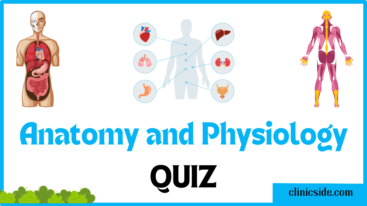 Test Your Knowledge with our Anatomy and Physiology Quiz