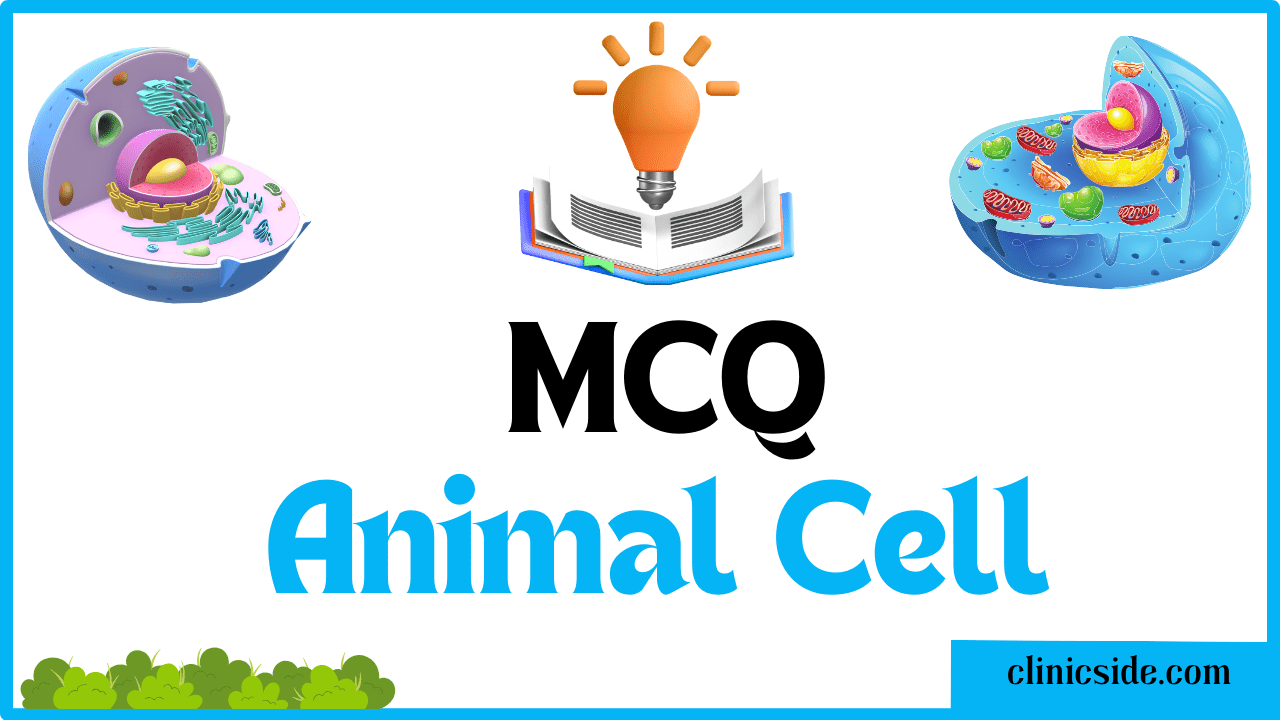 MCQs on Structure and Function of Animal Cell