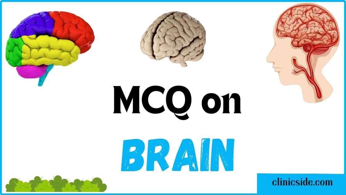 MCQs on Human Brain for NEET 2024 Clinic Side
