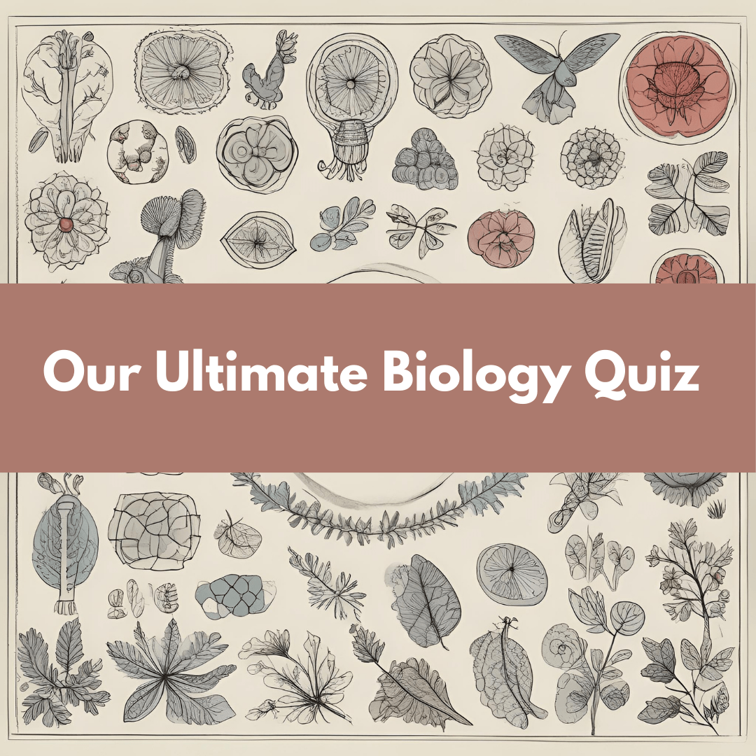 Biology Lecturer Quiz