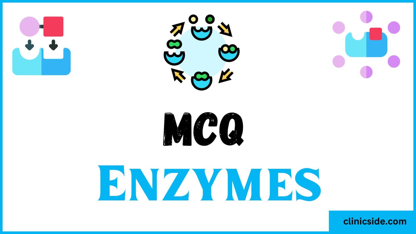 Multiple Choice Questions on Enzymes