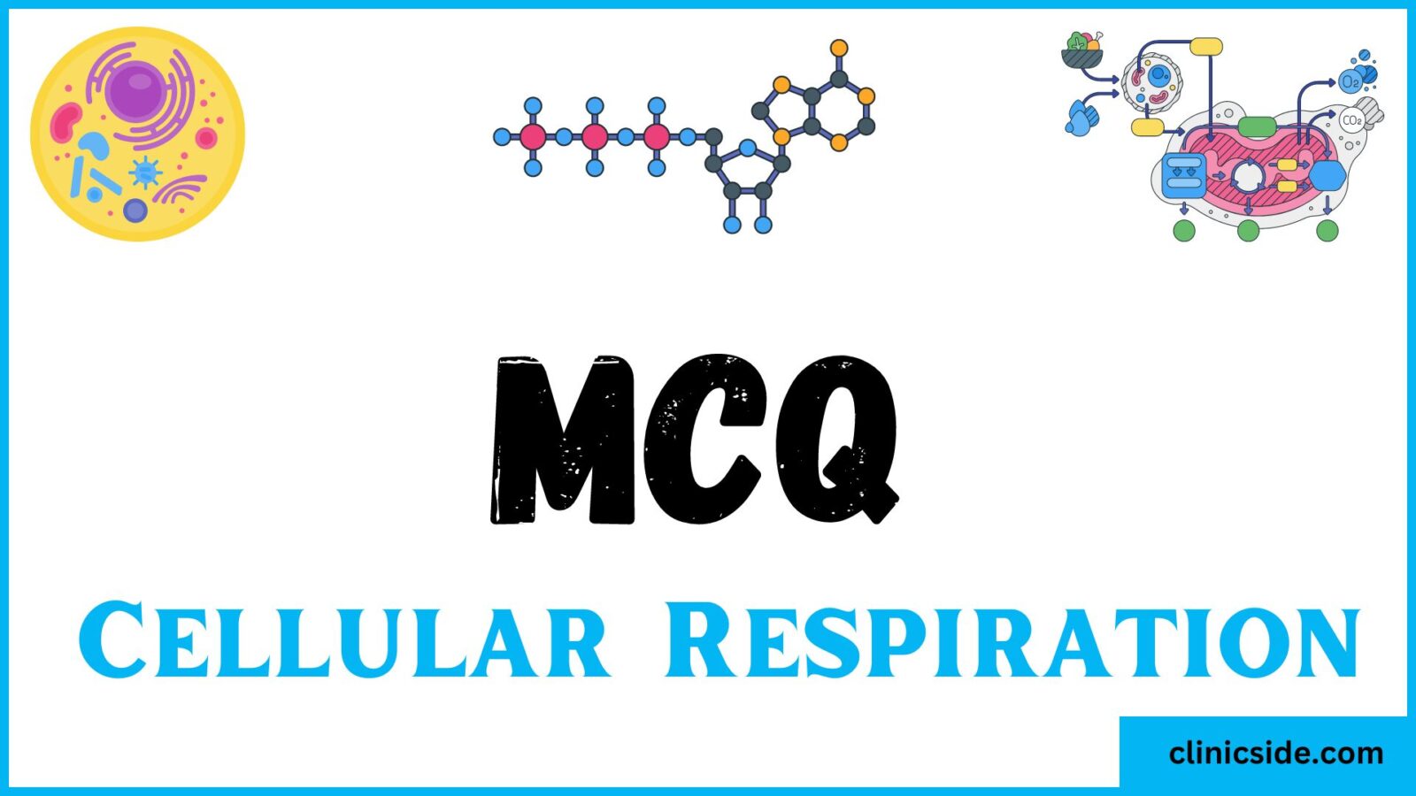 MCQ on Cellular Respiration Clinic Side