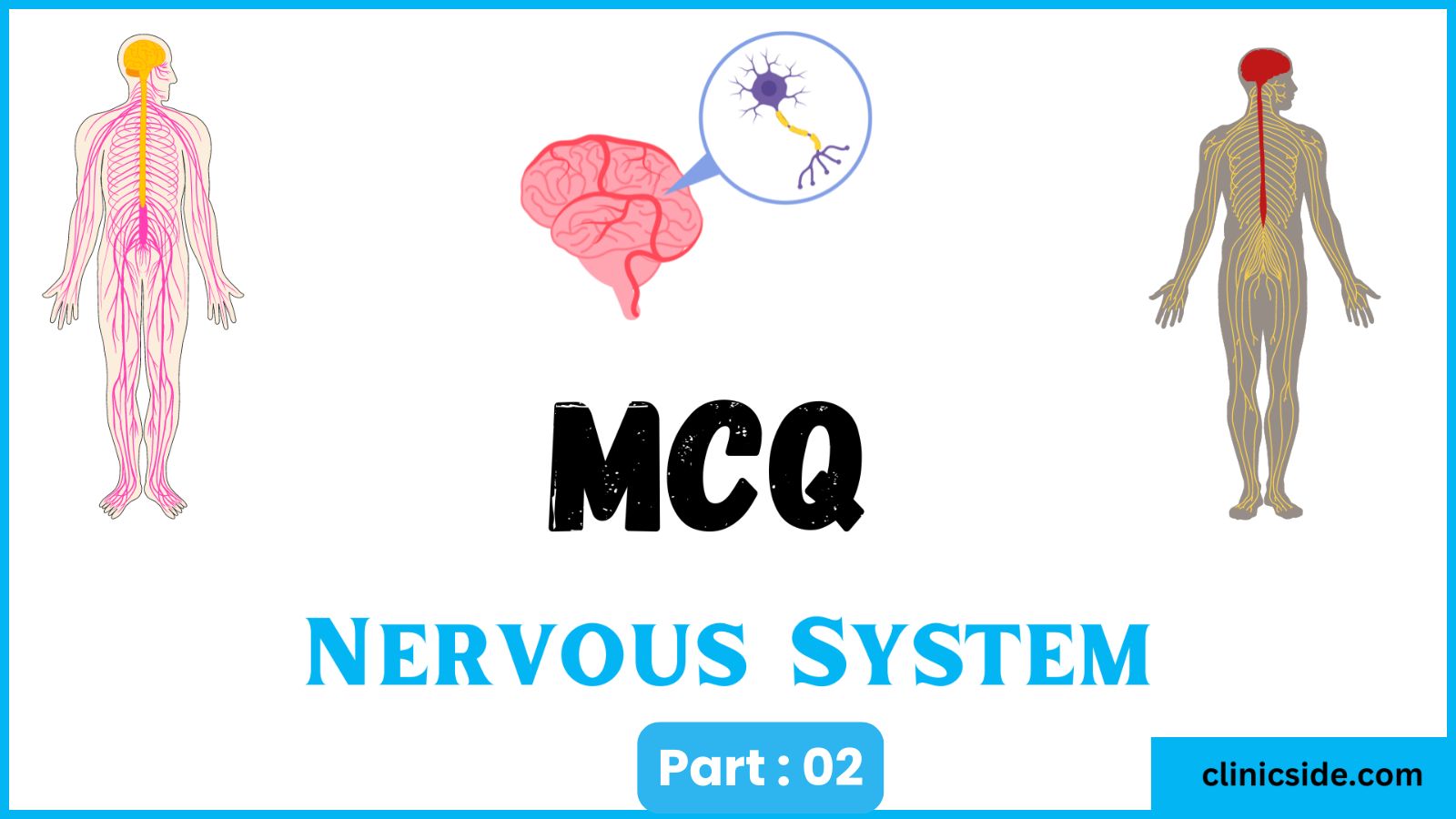 Nervous System Quiz Part 2 By Clinic Side