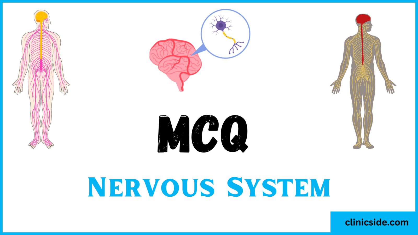 MCQ on human nervous system by clinic side