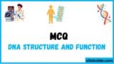 DNA Structure and Function