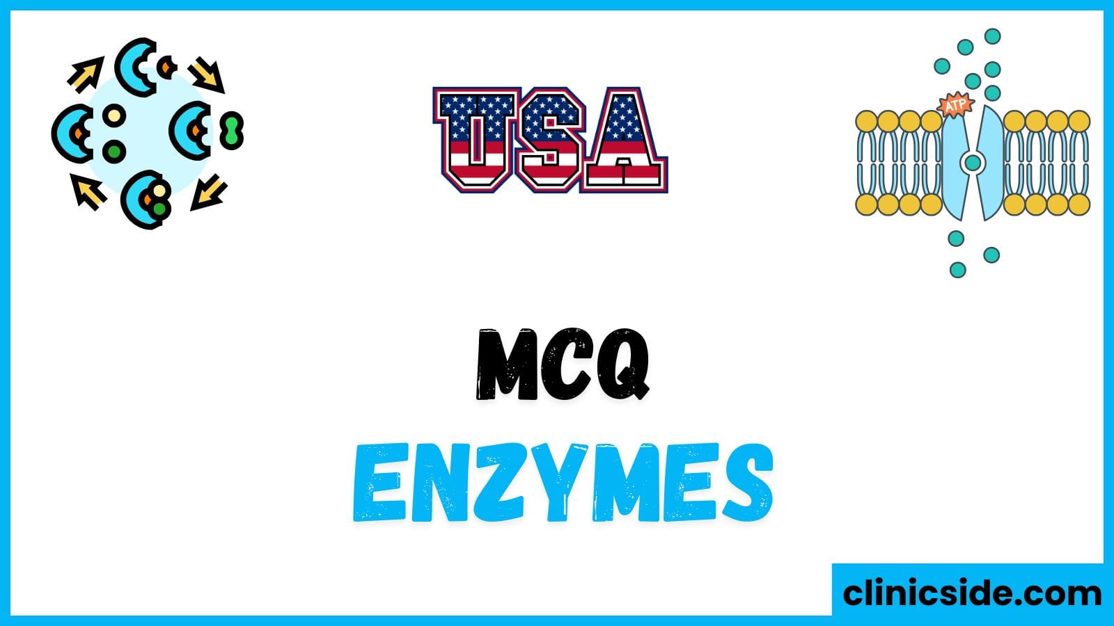 Comprehensive MCQs on Enzymes: Test Your Knowledge (USA)