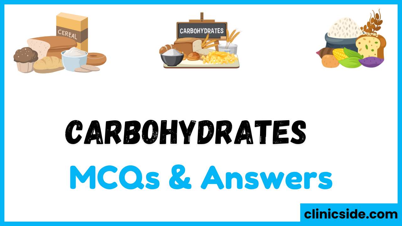 Carbohydrates MCQs with Answers – Biology Quiz