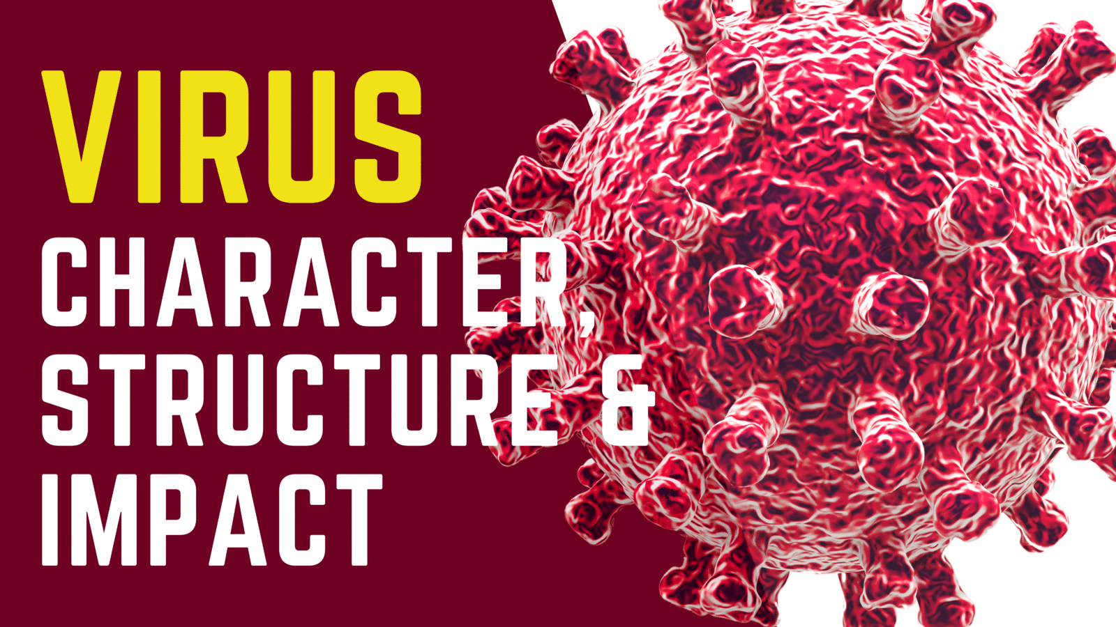 Virus MCQs