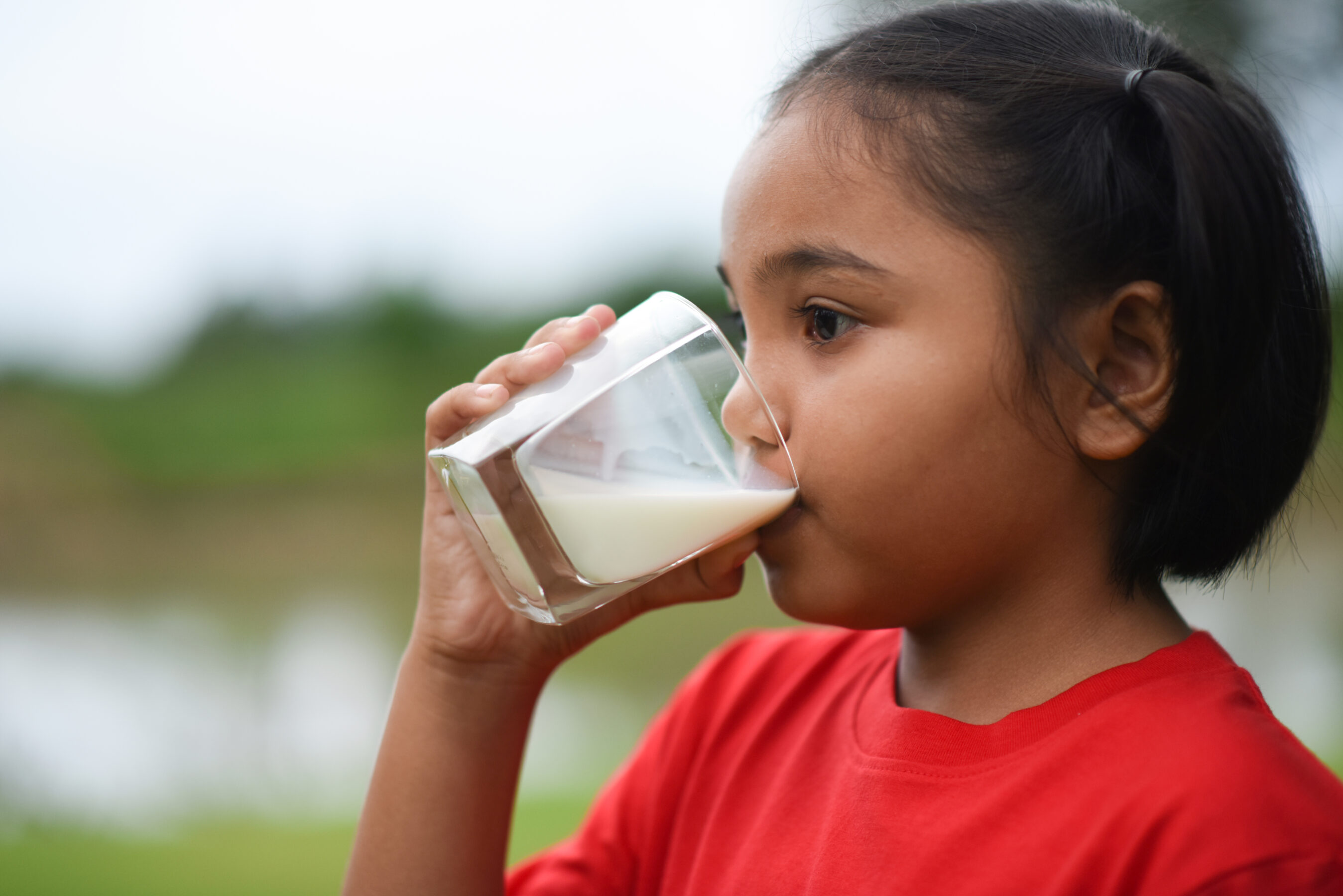Girl drinking milk in the park