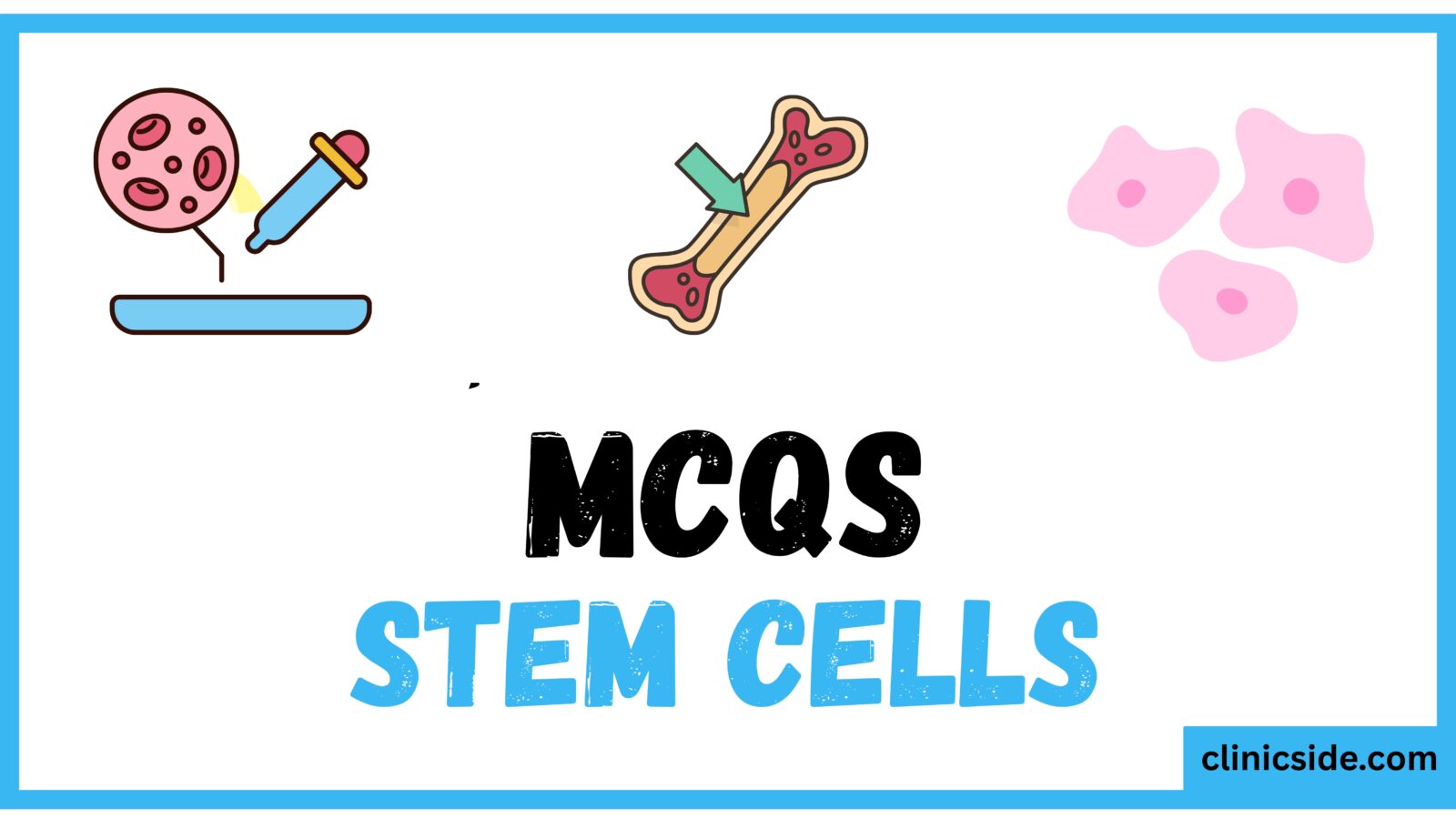 Stem Cell Quiz