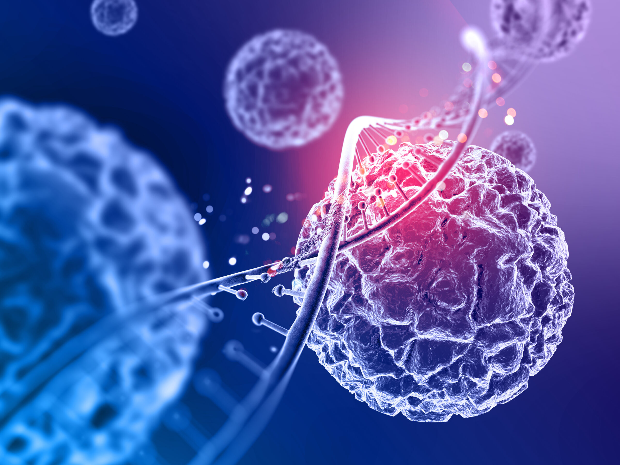 Stem cell with DNA