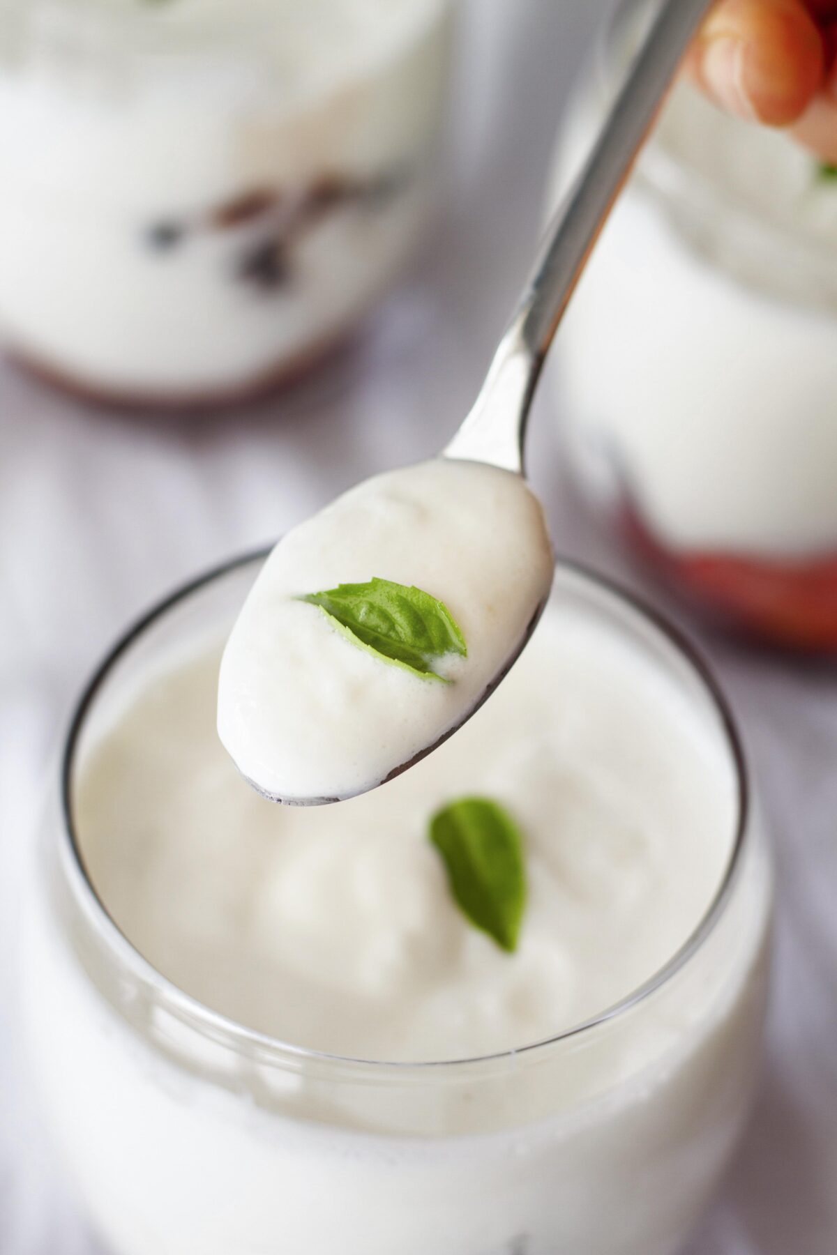 Probiotics from youghurt