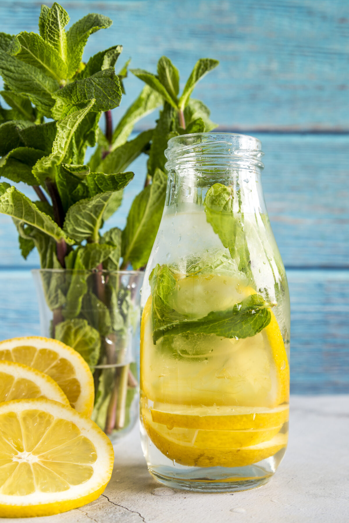 summer herbal remedies for digestion _Lemon Balm