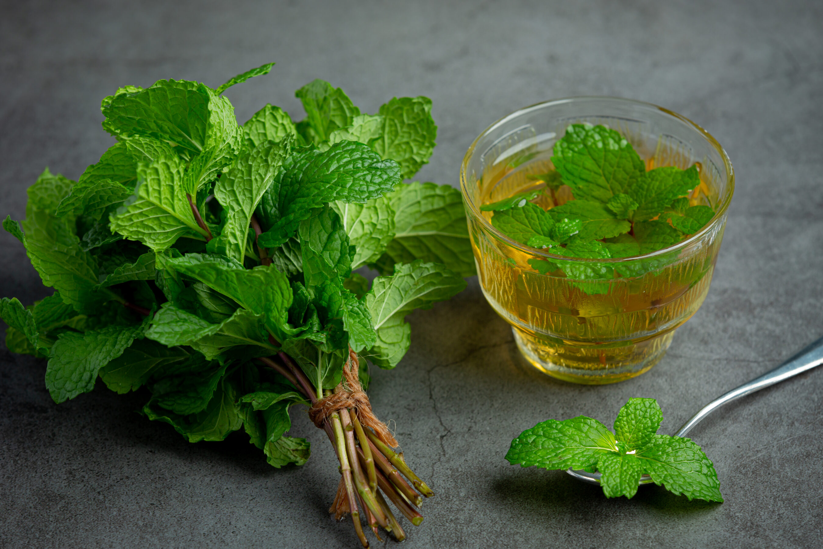 summer herbal remedies for digestion - Spearmint