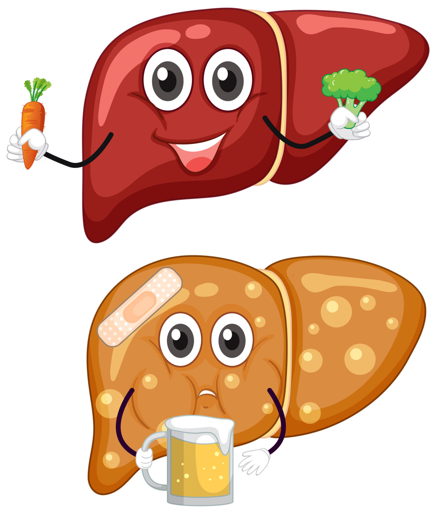eating healthy lead to healthy liver