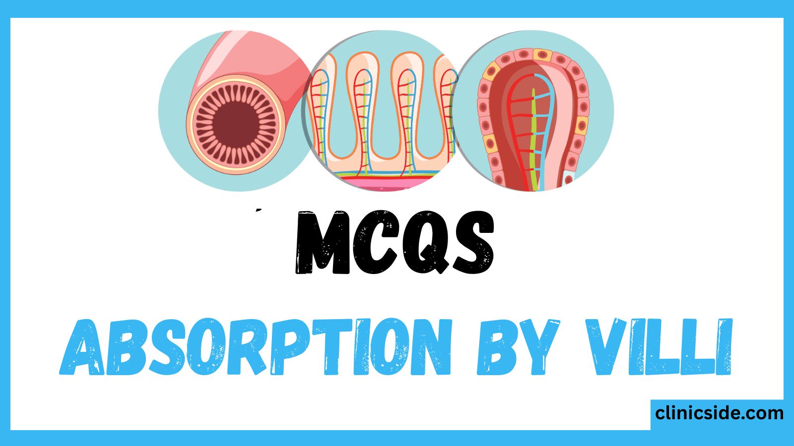 Absorption by Villi