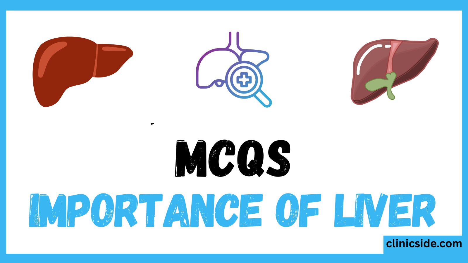 Importance of Liver