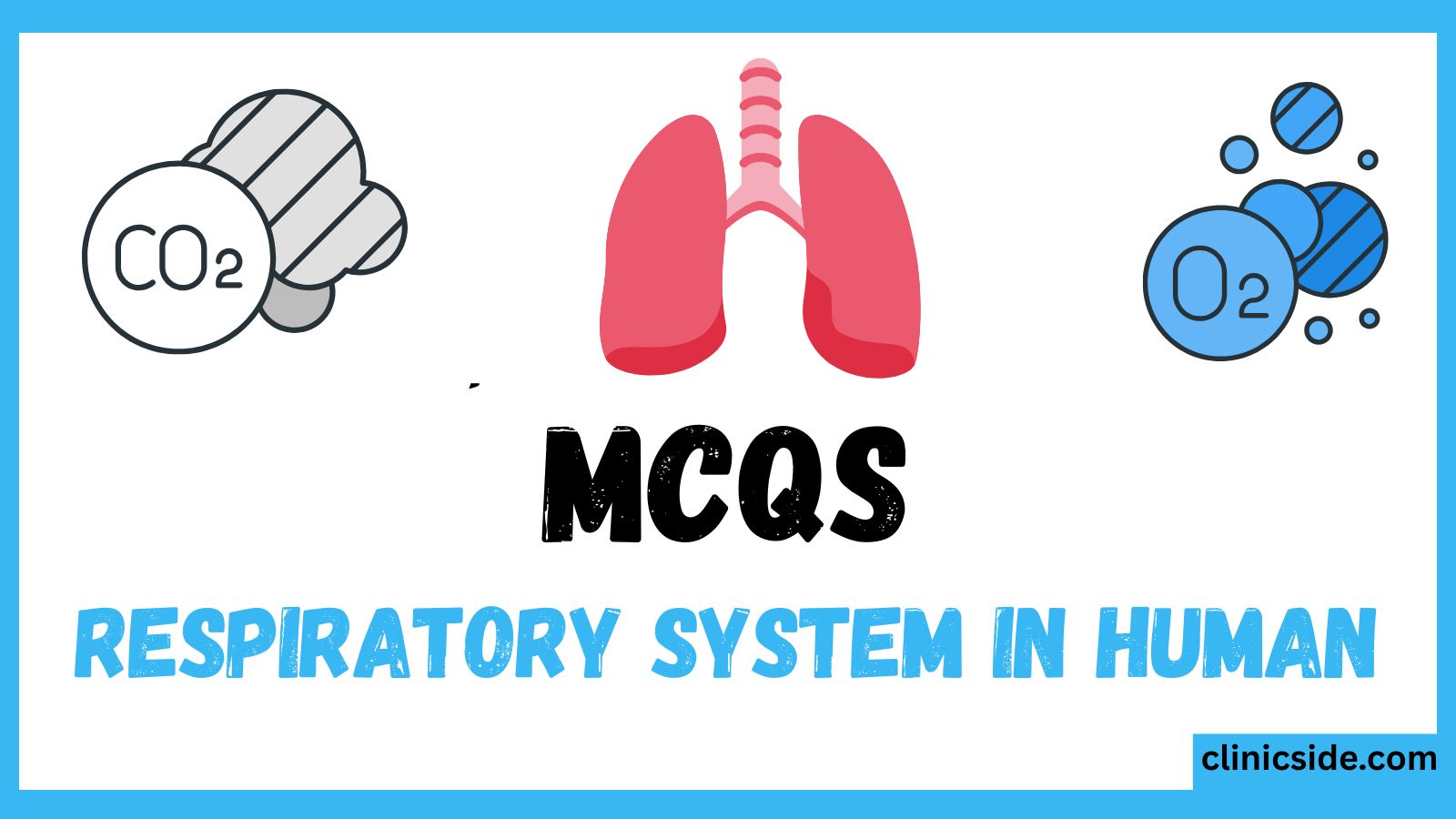 respiratory system in human