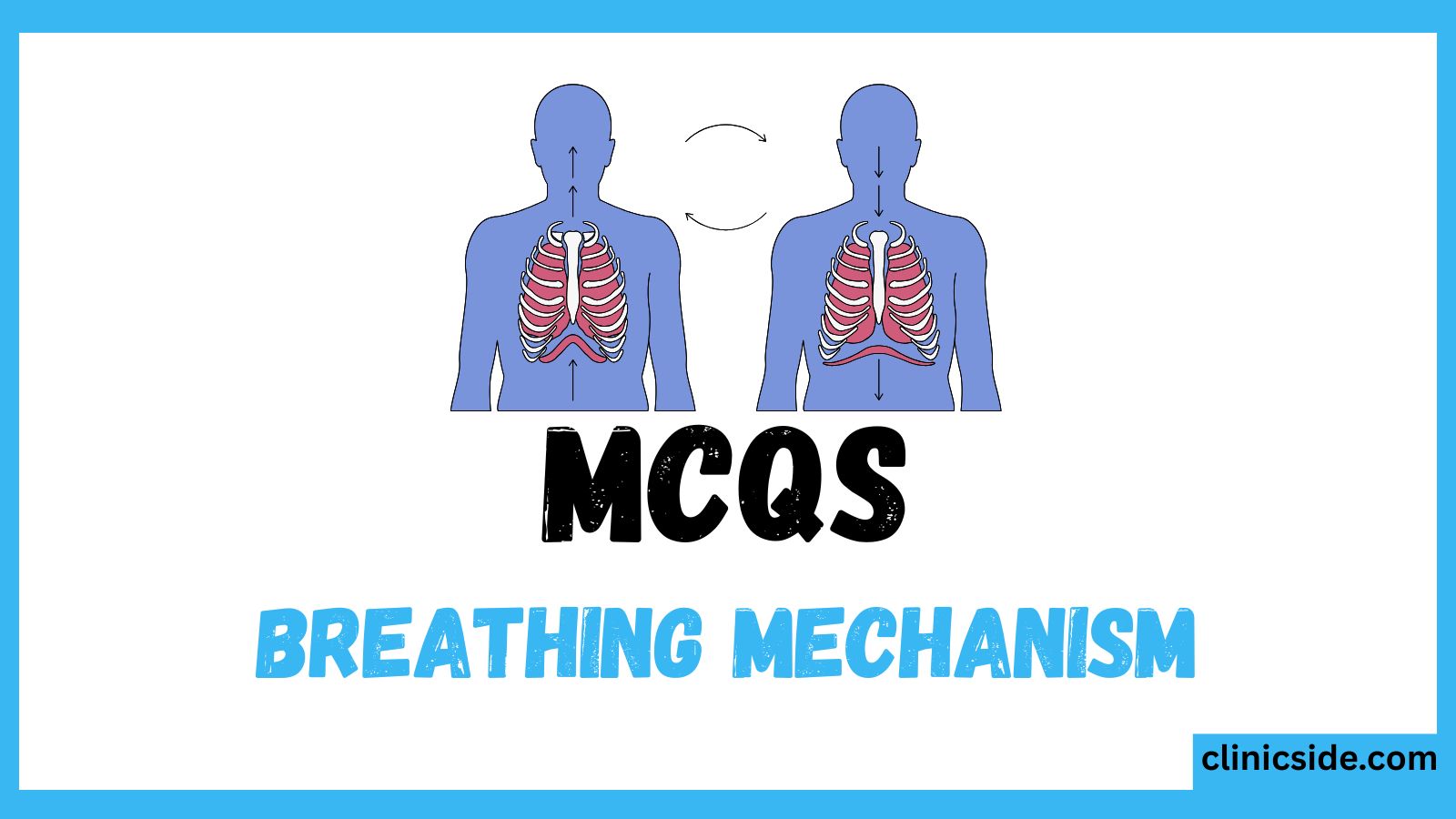 Breathing Mechanism