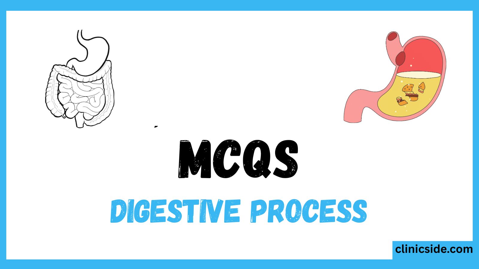digestive process