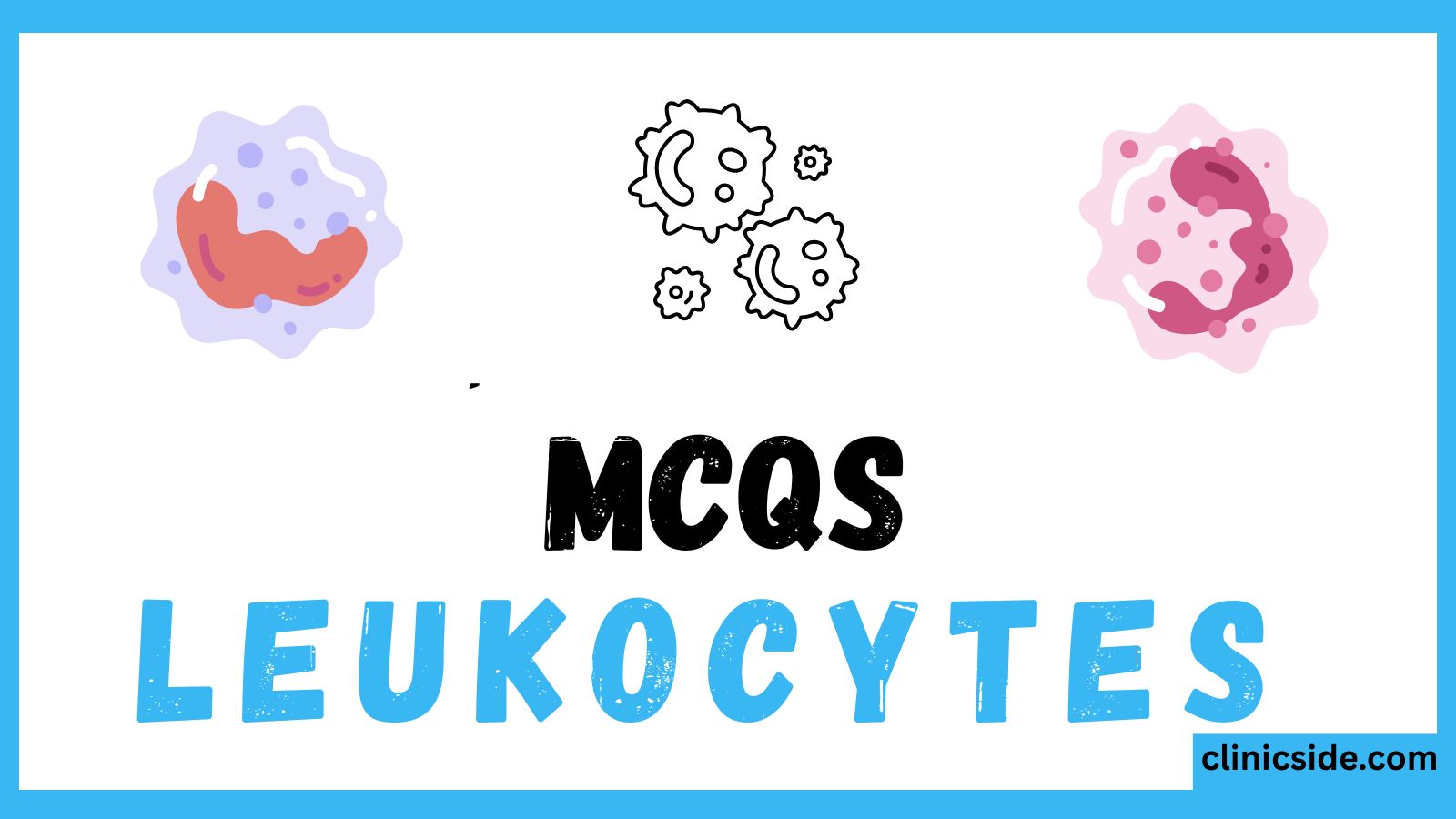 leukocytes and their types