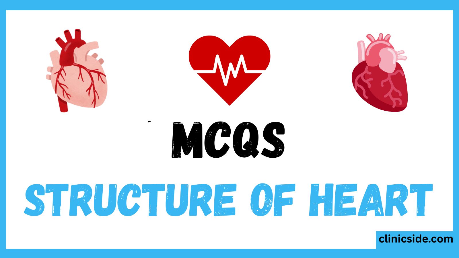 structure of Heart
