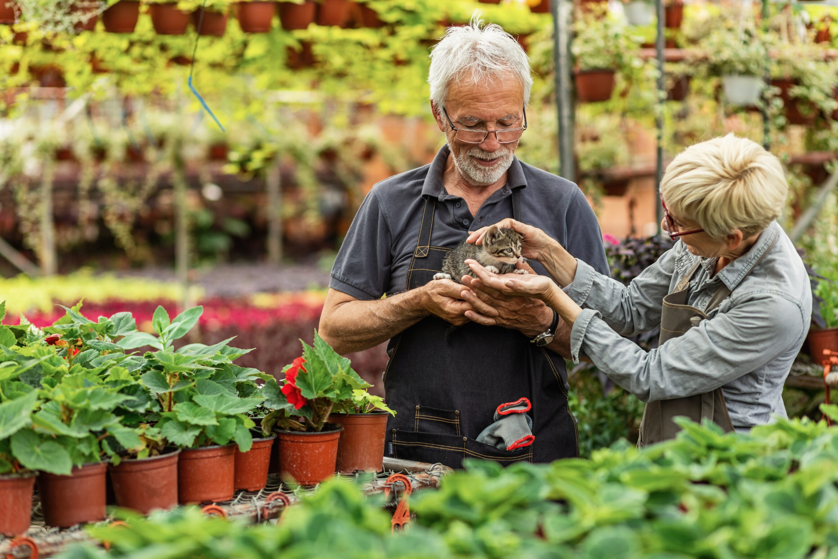 Gardening 