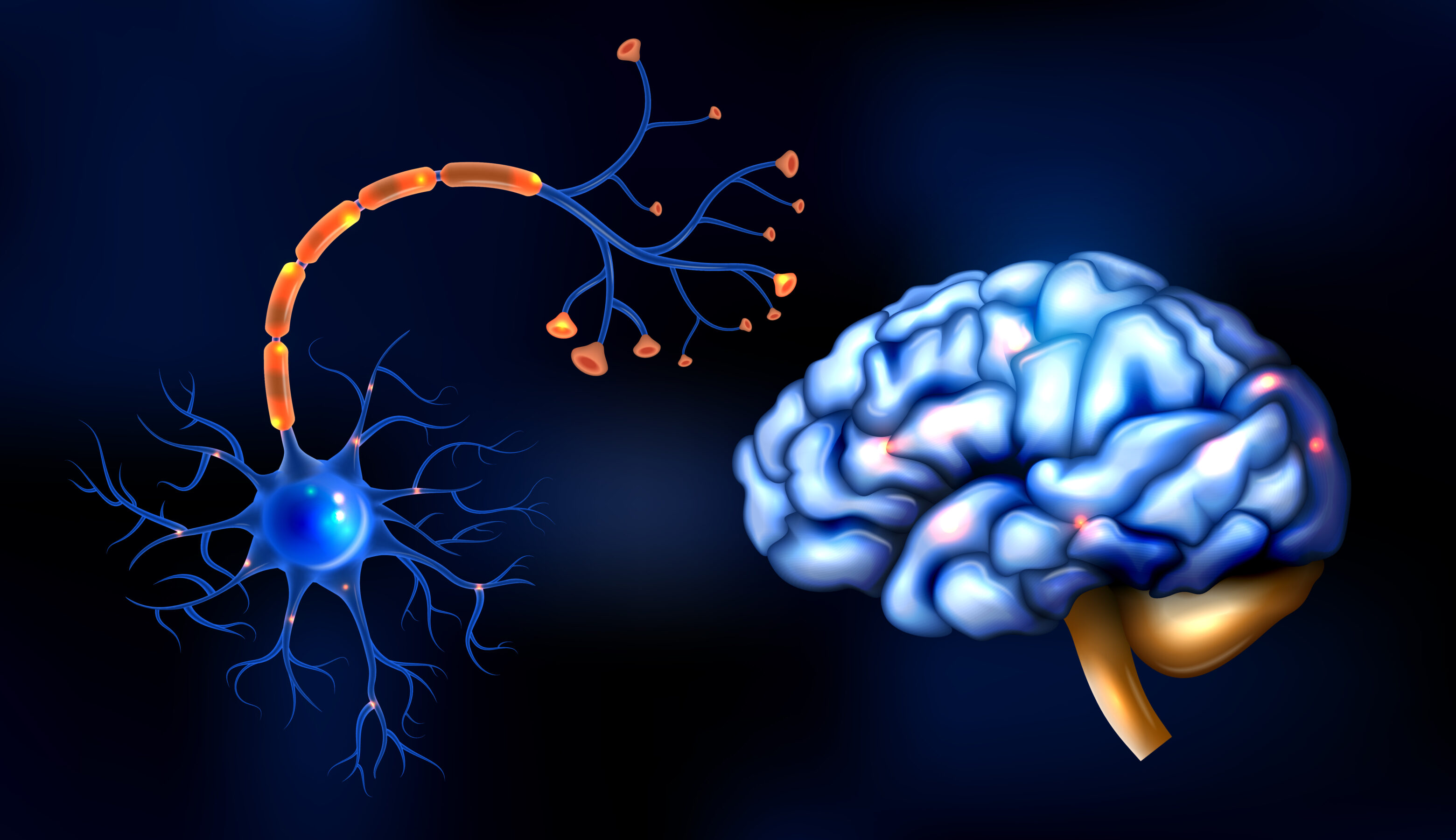 coordination and its types - Nervous Coordination