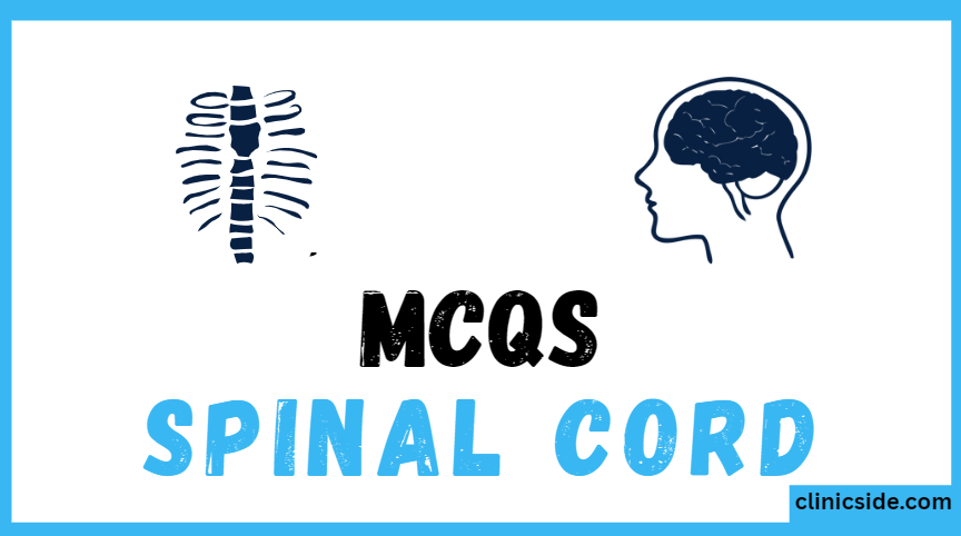 Central Nervous System: Spinal Cord