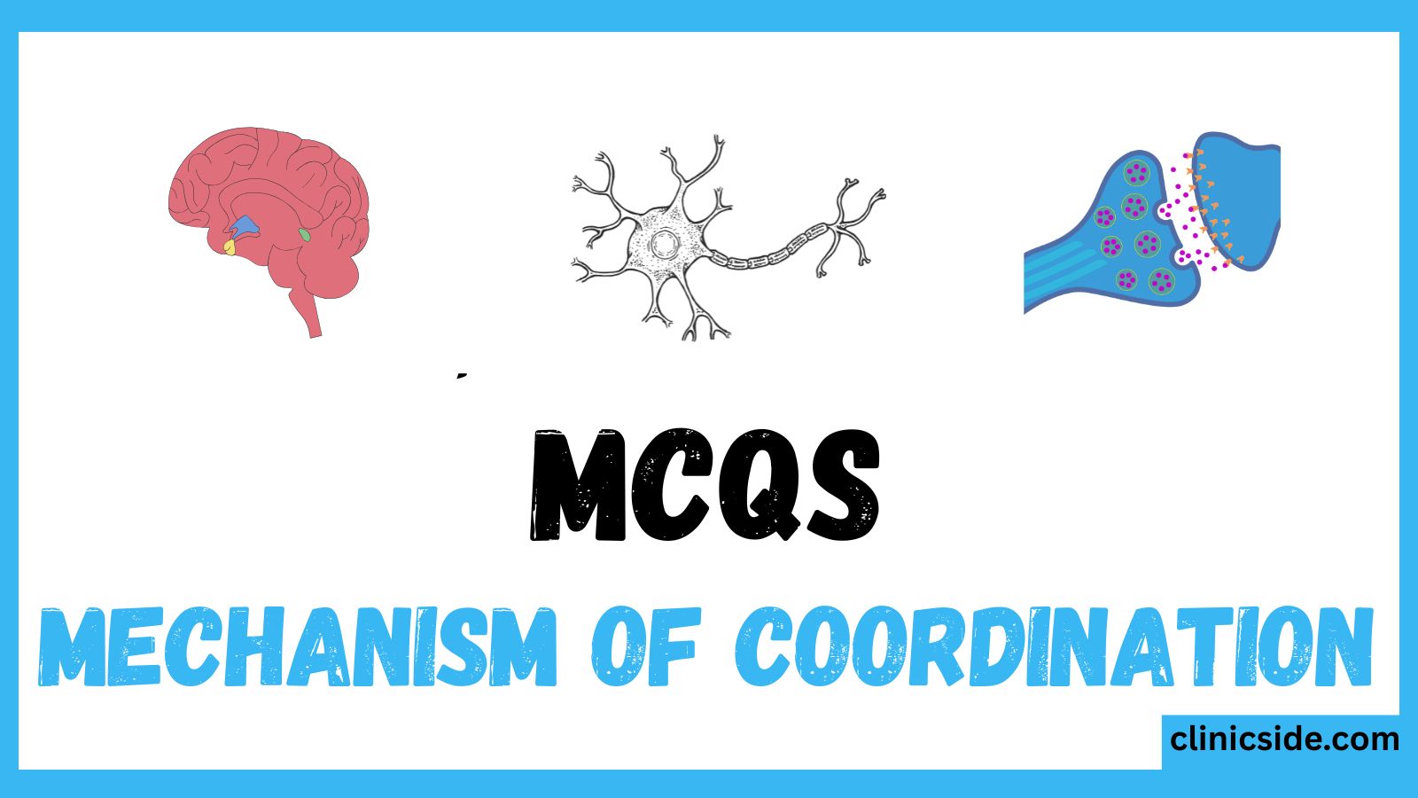 Mechanism of Coordination