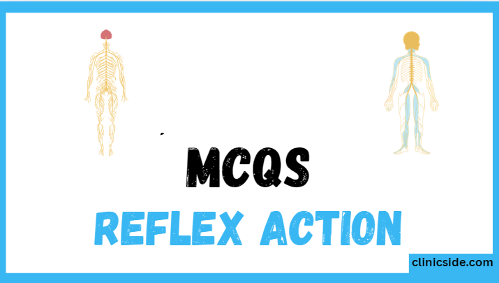 reflex action