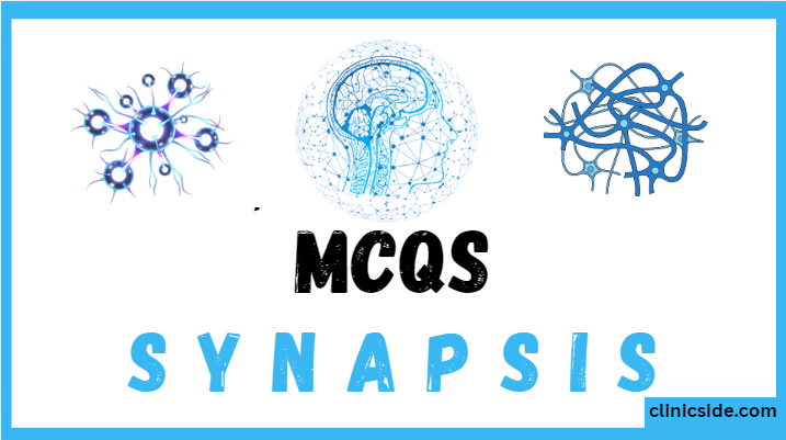 Synapsis in nervous system