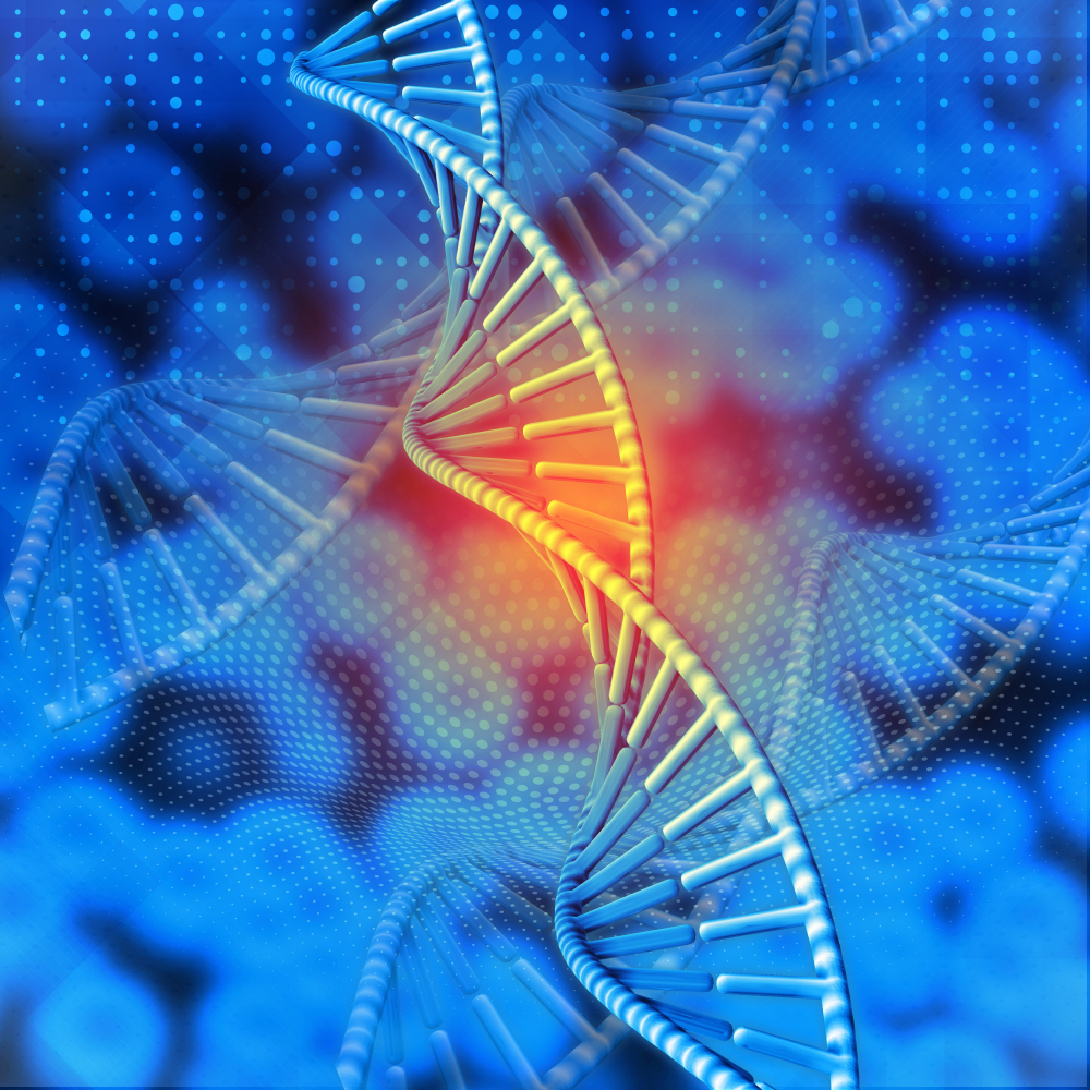 Central Dogma of Molecular Biology