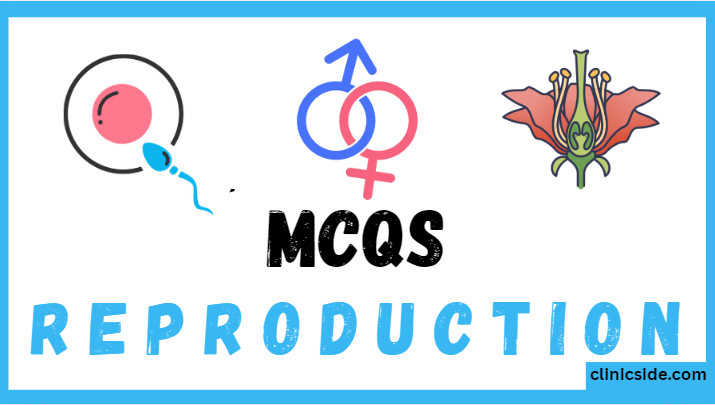 Reproduction and its types