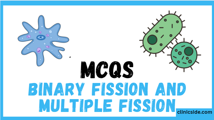 difference between binary fission and multiple fission