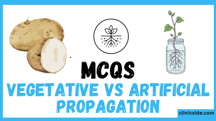 Vegetative propagation vs artificial propagation