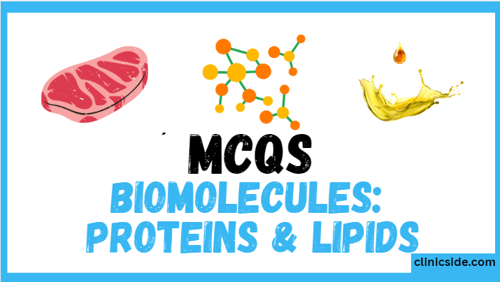 biomolecules proteins & lipids
