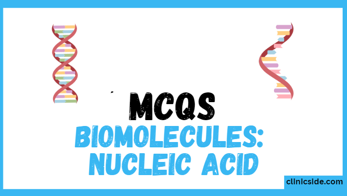 Nucleic Acid